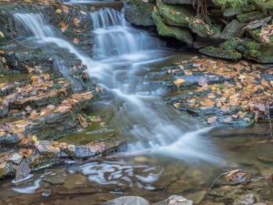 Waterfalls, Glens Natural Area, Ricketts Glen State Park, PA, United States, © 2017 Bob Hahn
